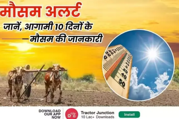 10 दिनों का मौसम 2022